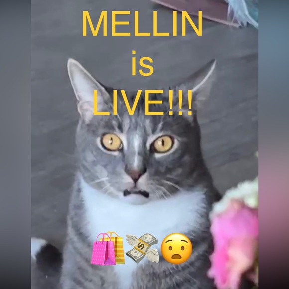 Mellin is LIVE!!! 🔥💕🛍️ LIKE FOR NOTIFICATION - Picture 4 of 6